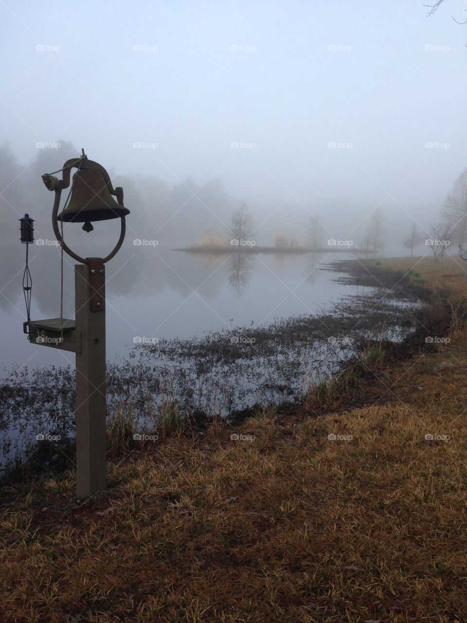 foggy bell