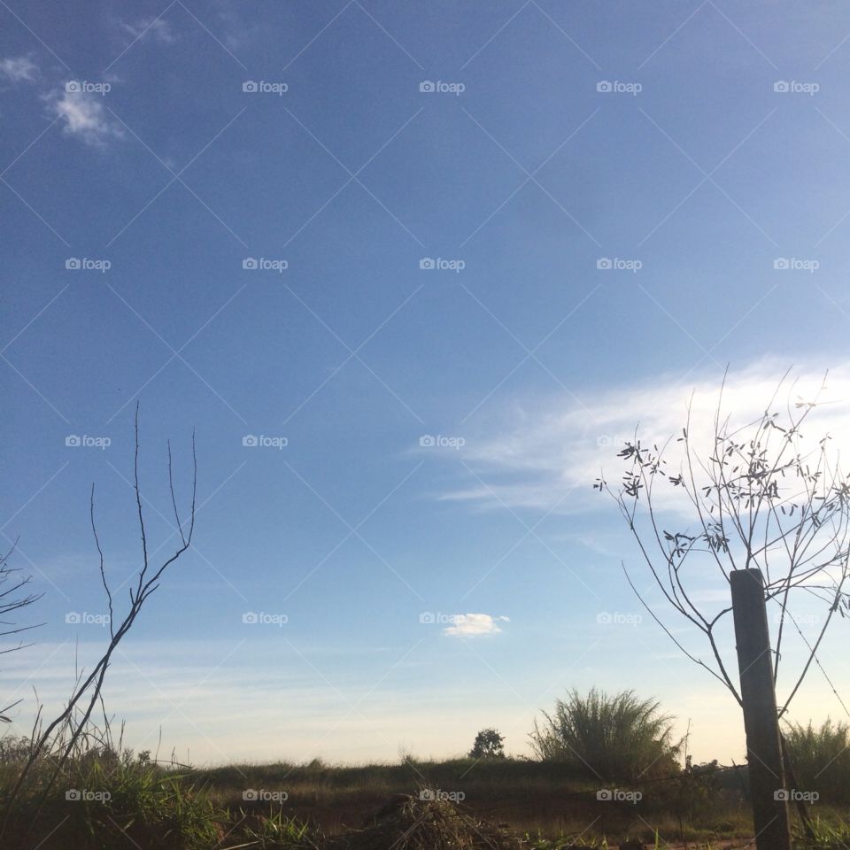 Uma tarde de céu muito bonito em Jundiaí. Frio, mas ainda assim está bonito. Bucólico. 