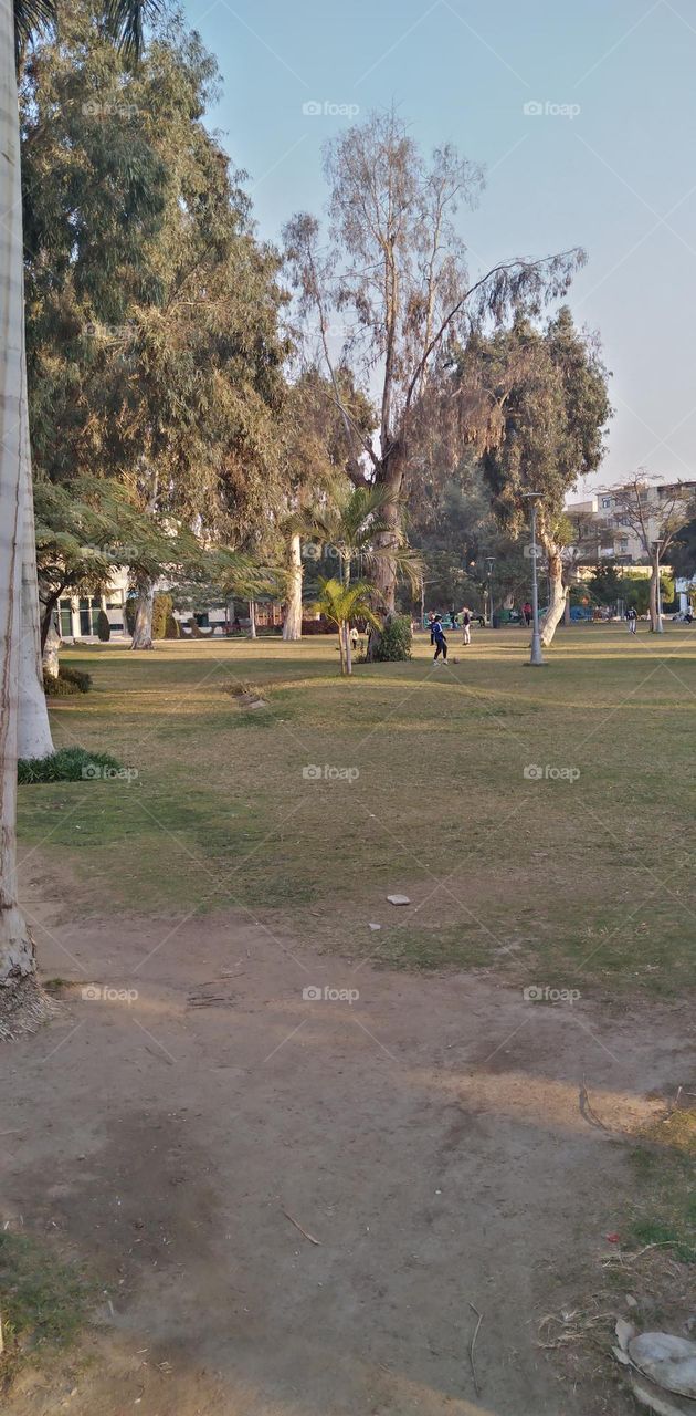 صور منطقة شجرية خيالية تستخدم للتصوير كخلفيات للافراح و مزار راح لمحبي التامل و مشاهدة الجمال الشجري والطبيعة
  Pictures of a fictional tree area used for photography as wedding backgrounds and a shrine for lovers of contemplation and watching tree b