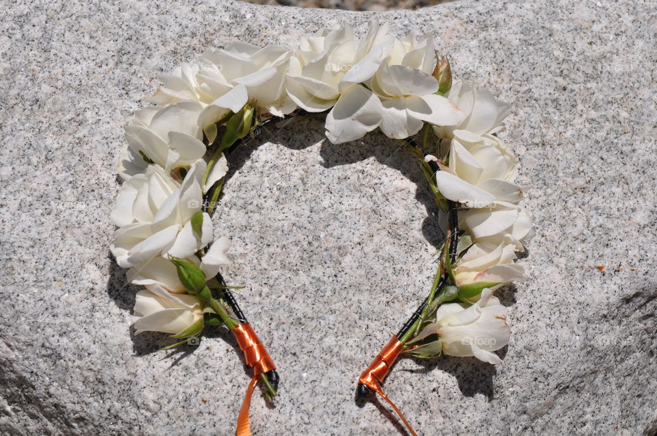 Beautiful white roses crown on a rock