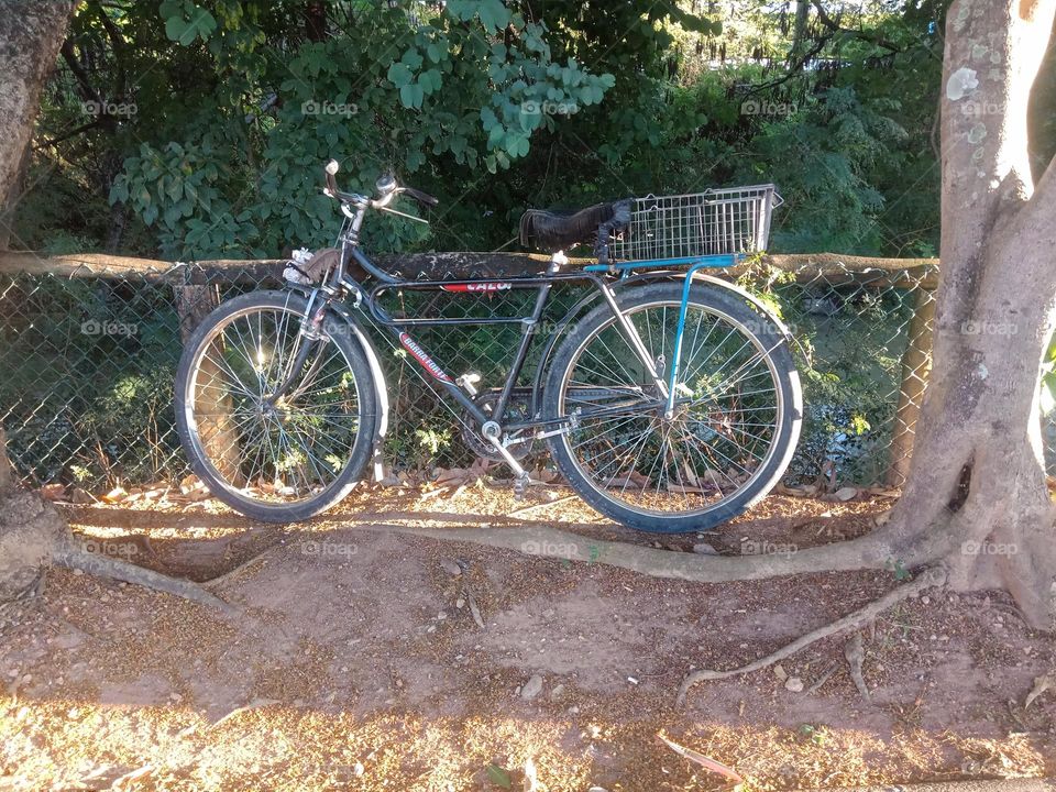 A blue bicycle left in between two trees, leaning against a rail by a river