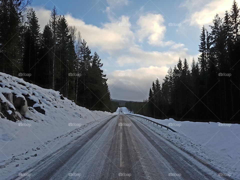 Winter road 
