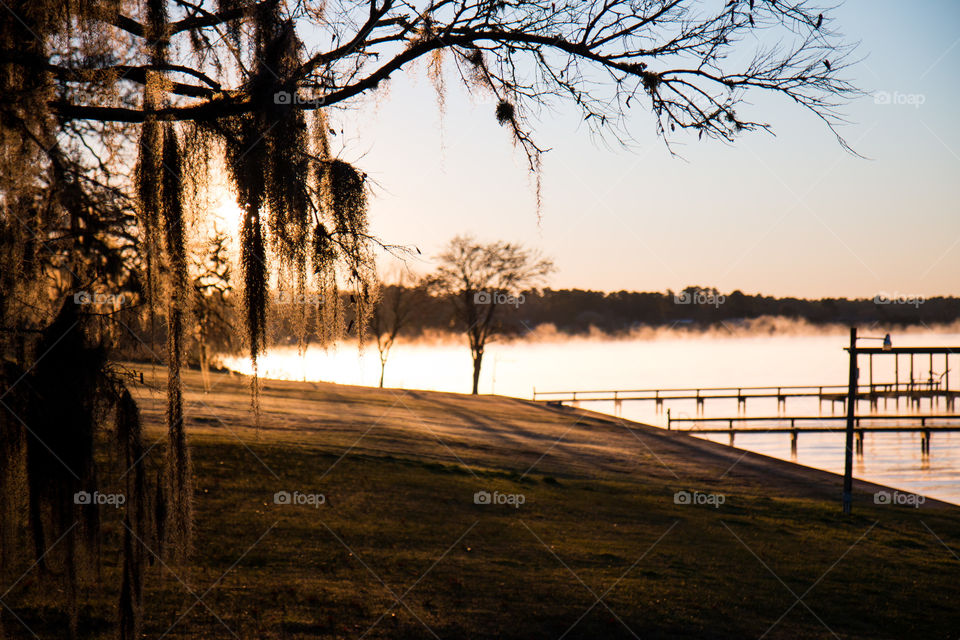 Foggy lake 