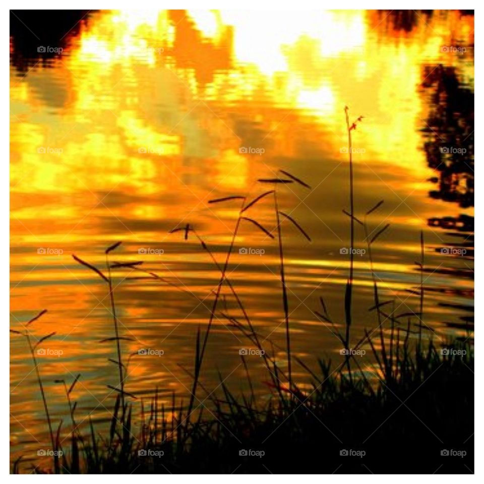 Golden Pond