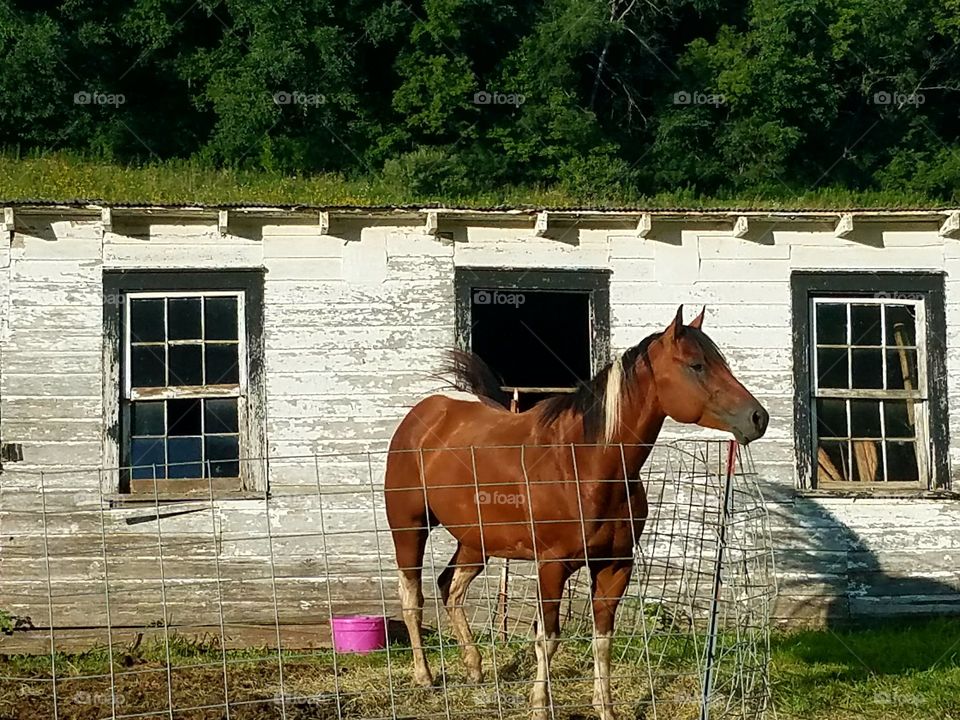 Driving the Back Roads and enjoying everything around us