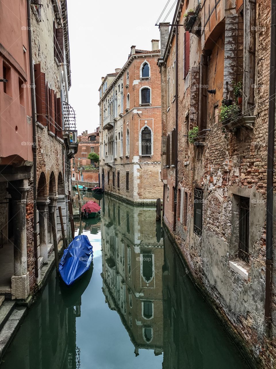 Venezia