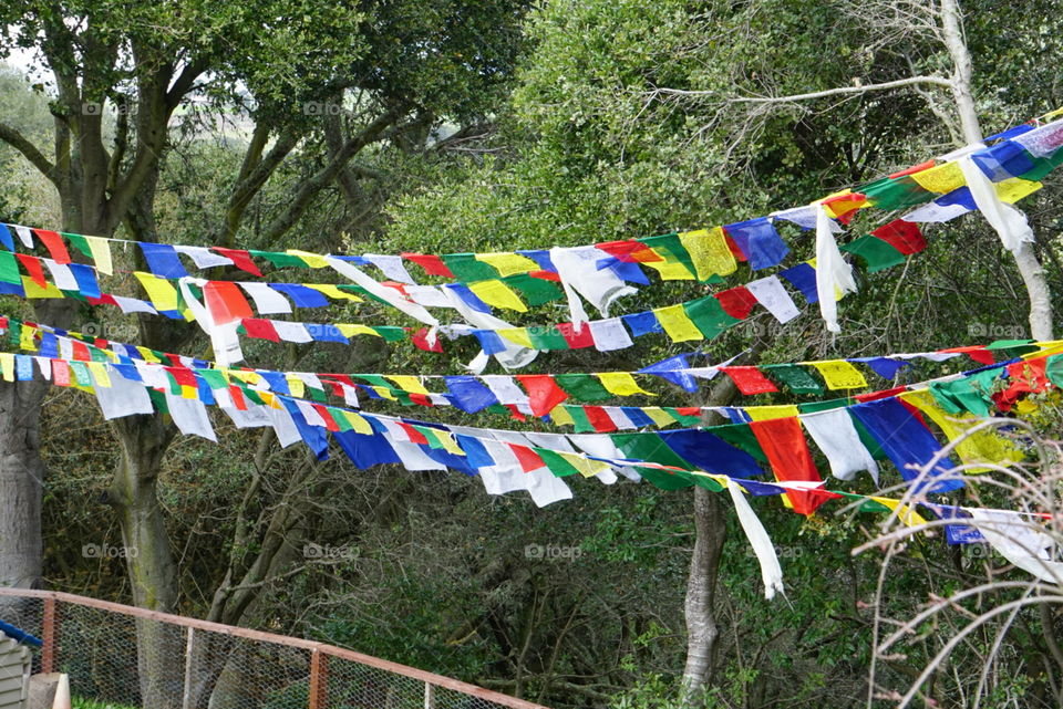 Flag & Festival
The wind blowing the beautiful little flags.  Very Charming touched  and given a peaceful mind 
At a local temple in California,  Spring season