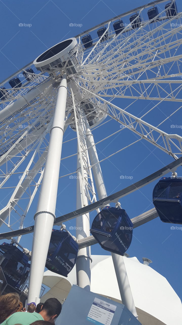 Ferris Wheel Fun