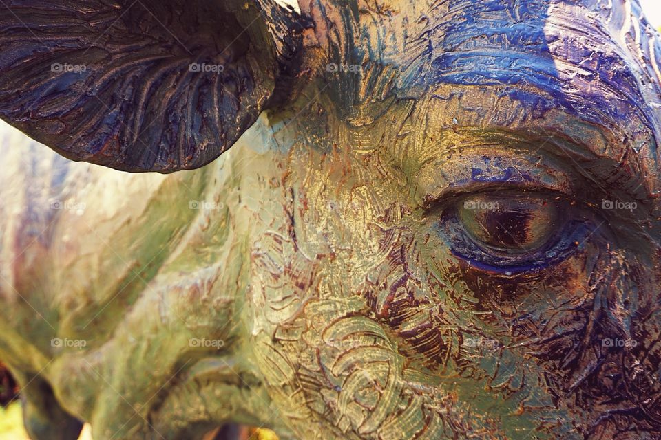 Longhorn Sculpture Left Eye