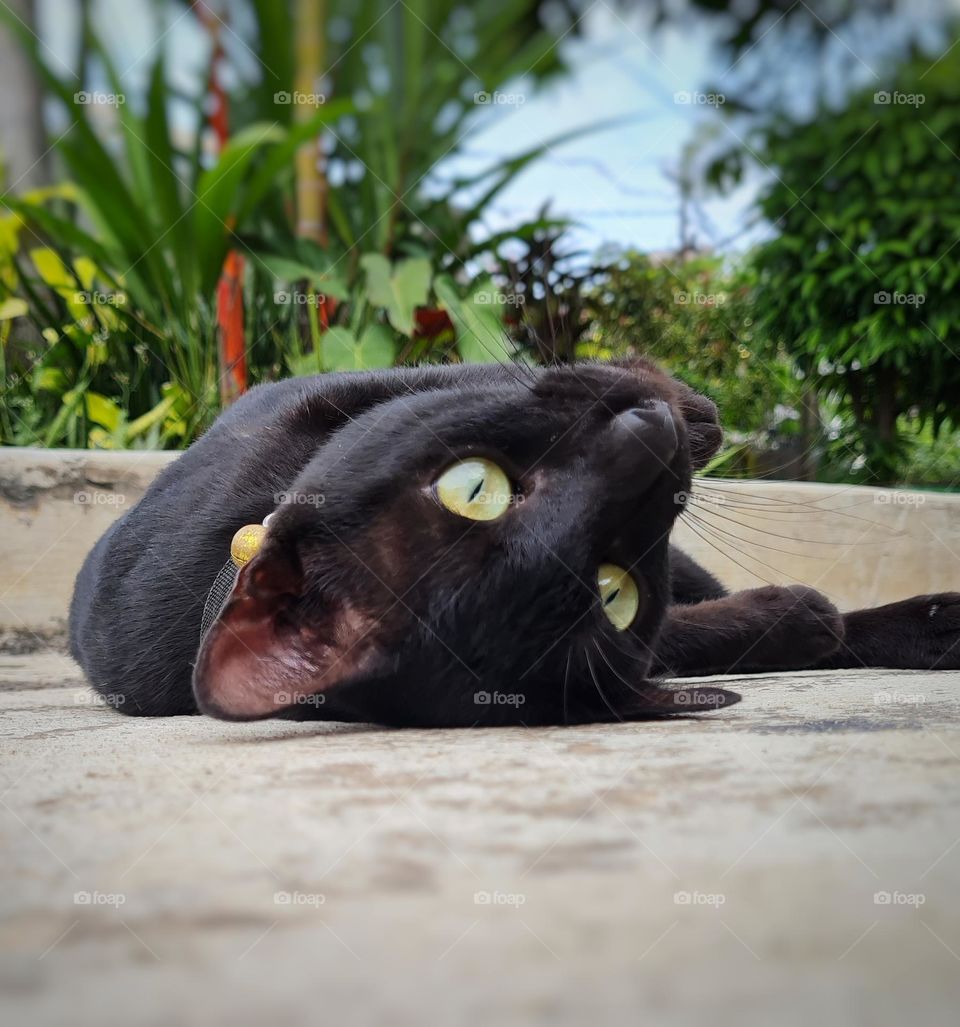 Dare to Starring at Me?