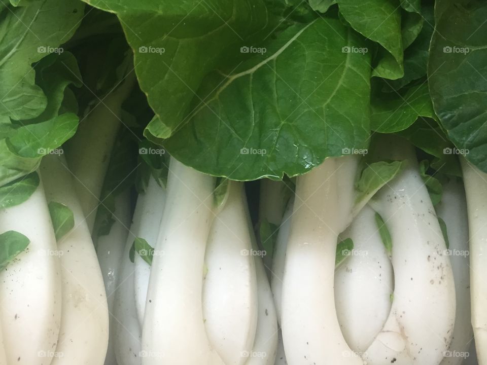 Bokchoy 