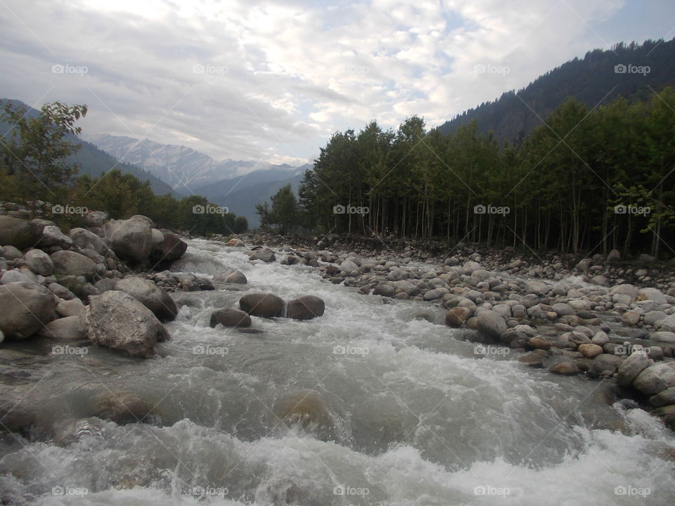 Close-up of flowing stream