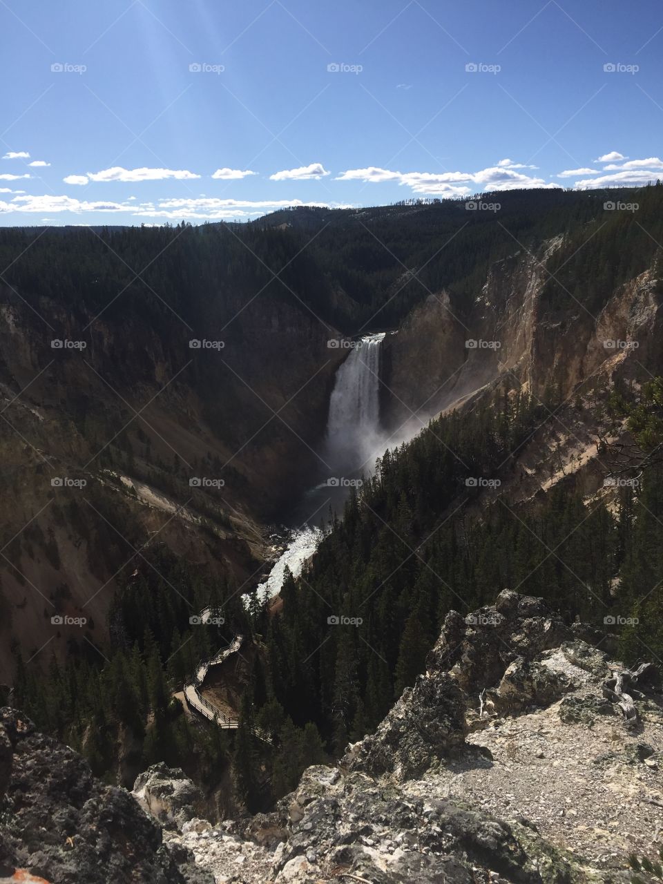 Yellowstone
