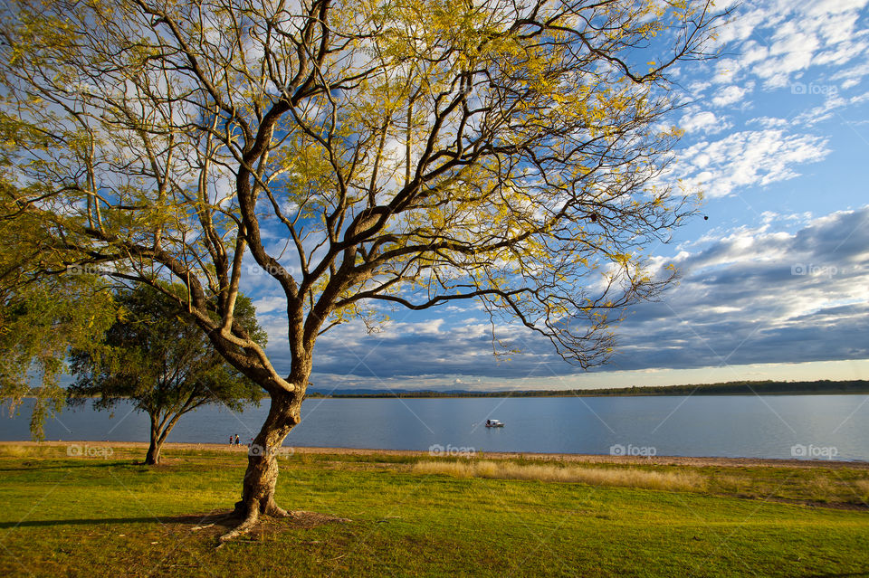 afternoon lake