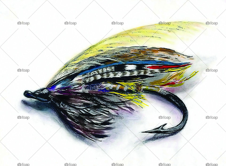Sketch of a fly fishing fly.