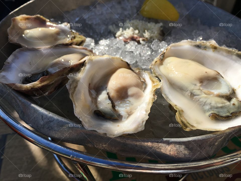 Close-up of oysters on crushed ice