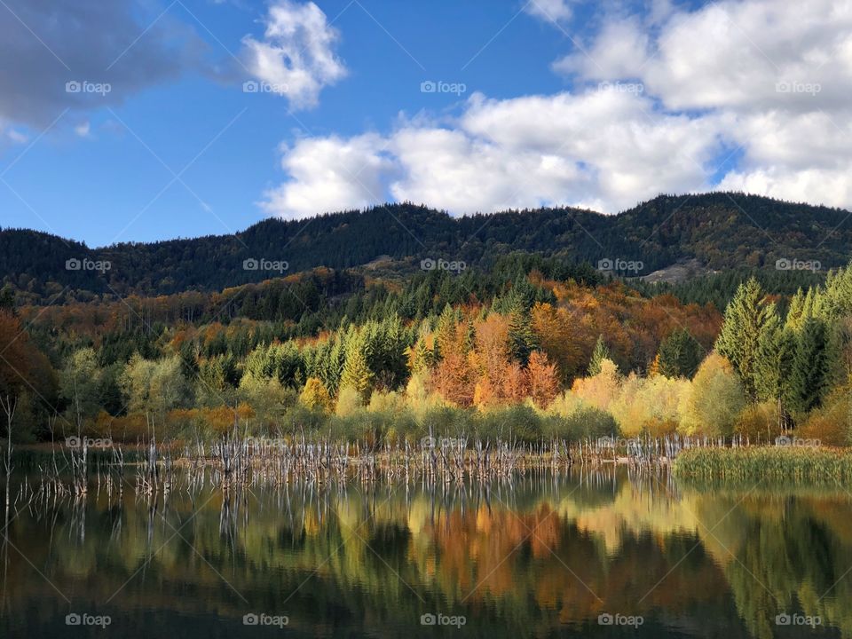 Lake in fall