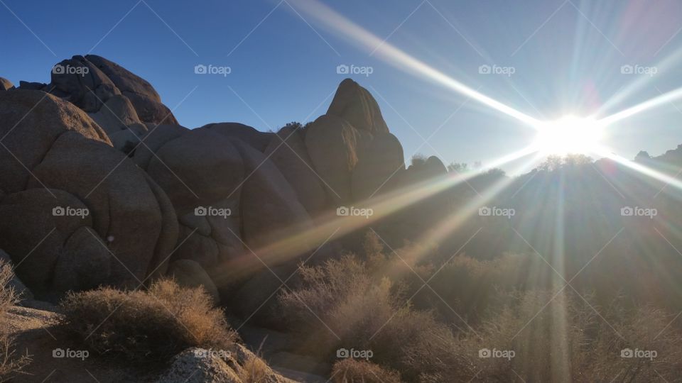Radiant Desert