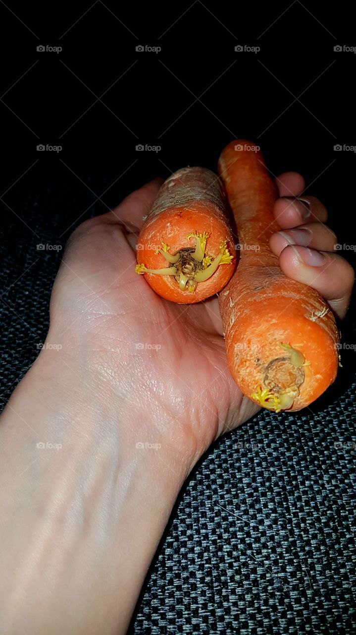 Carrots