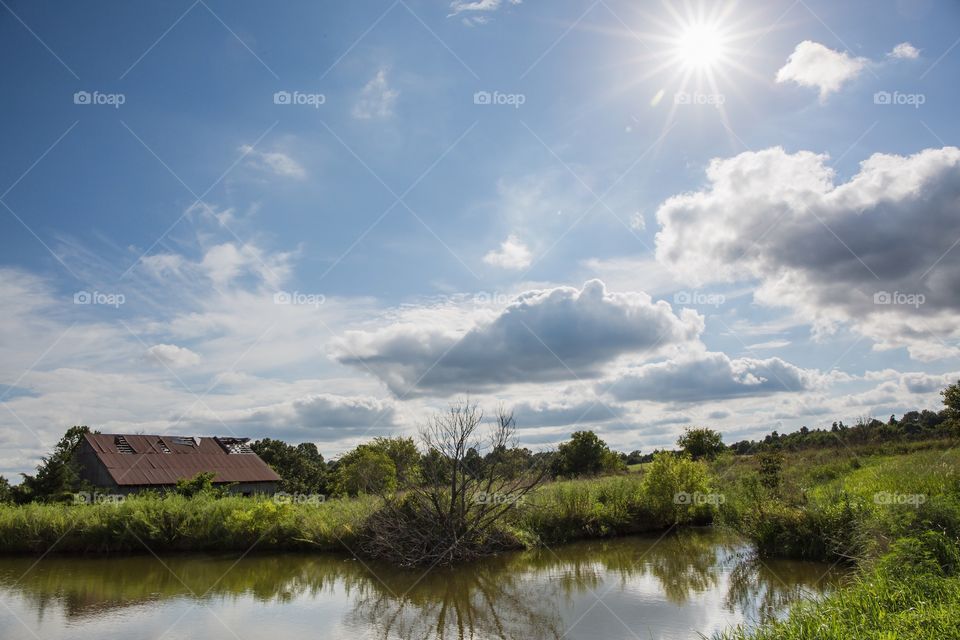 Summer afternoon on the farm