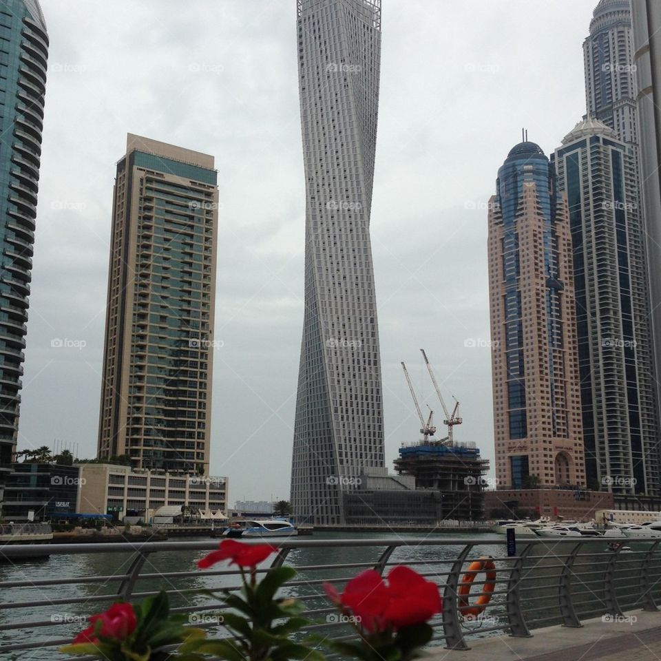 cayan tower