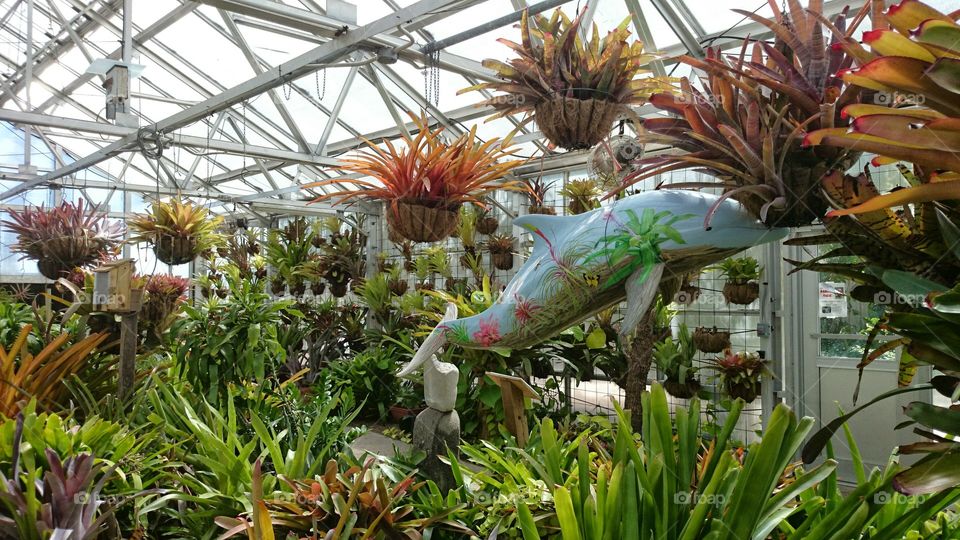 Corpus Christi Tx Botanical Gardens succulent plants air plants greenhouse