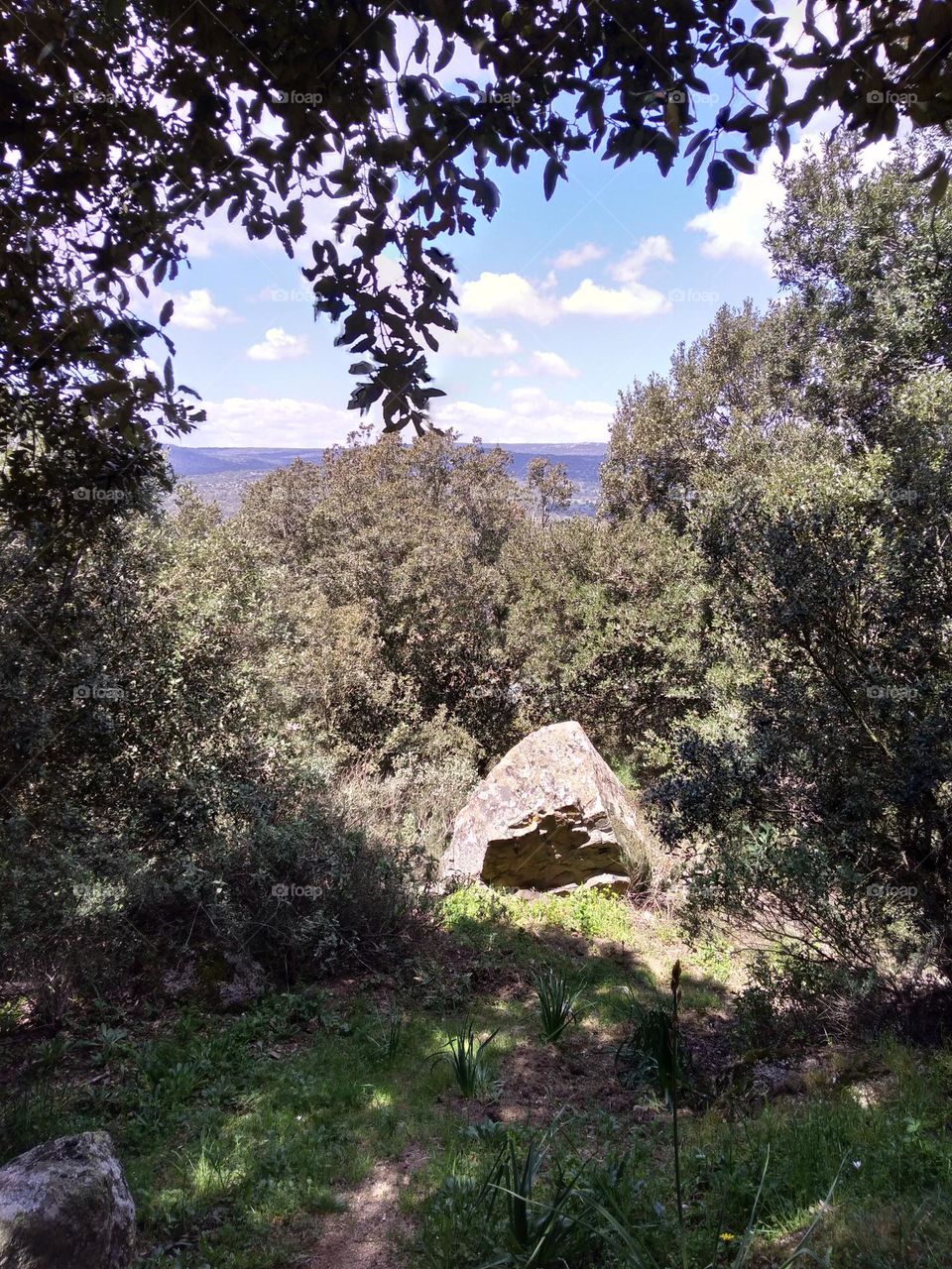 Editors' Choice: Photo of the Week