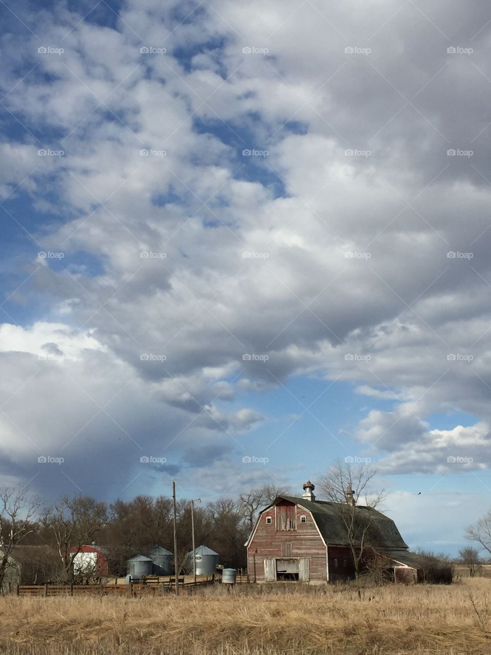 Country Barn 