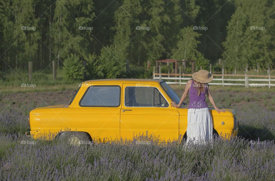 Summer is the season of lavender blooming,a field and a retro yellow car and a girl in a hat.