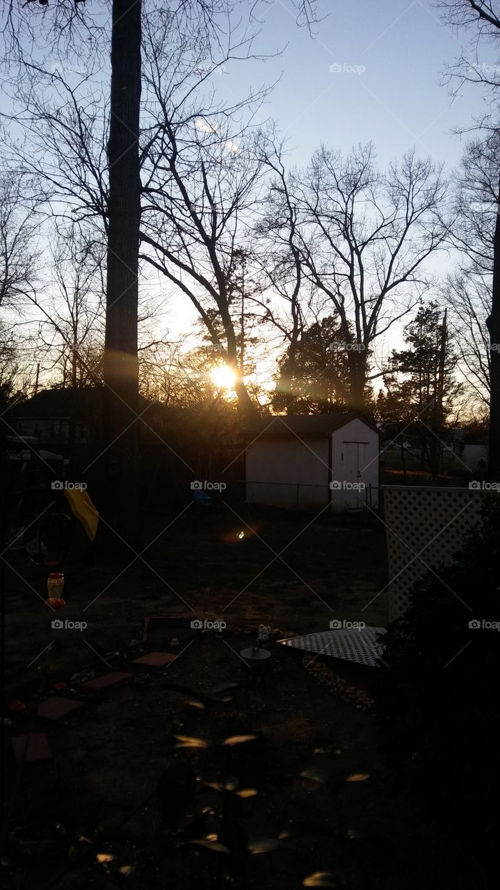 Setting sun in the backyard.