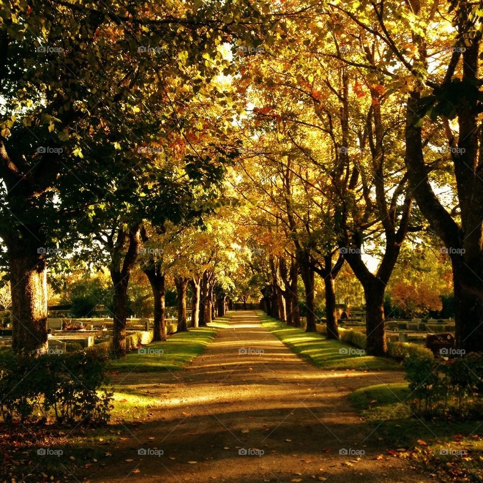 Uppsala by fall