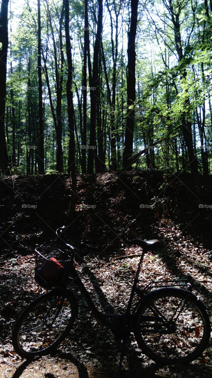 Cycling in the Woliński National park, Western Pomerania