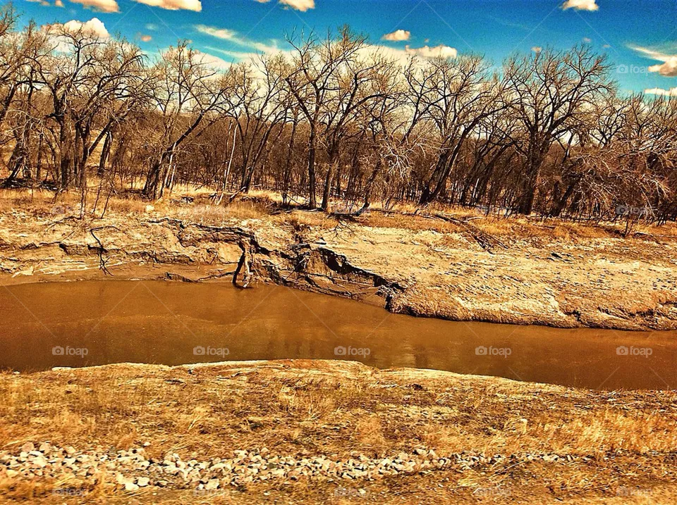 Brown creek