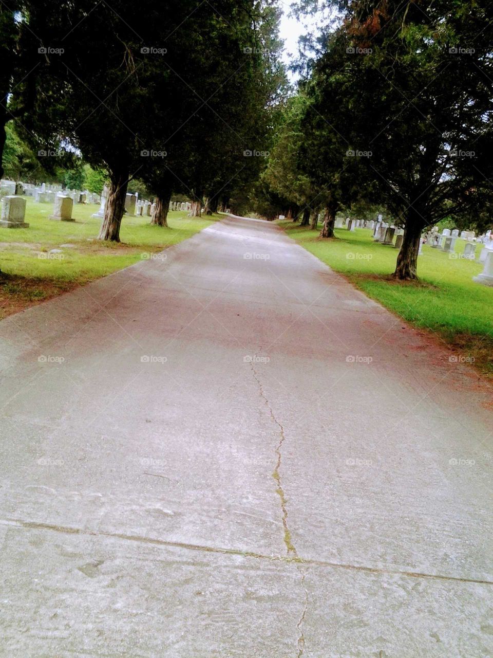 Historic Oakwood Cemetery, Raleigh NC