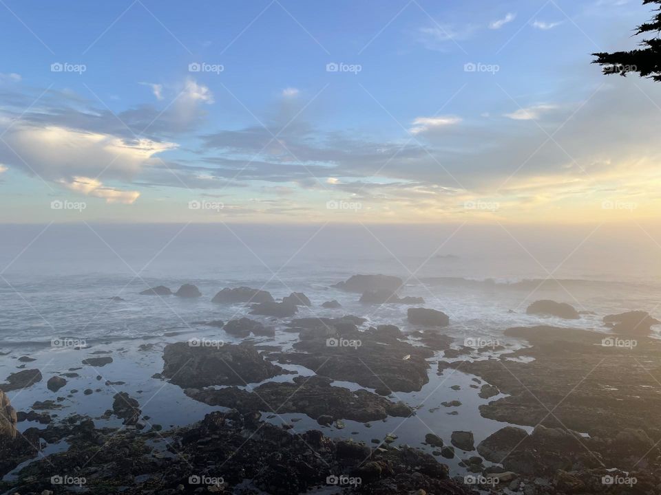 Tide pools 