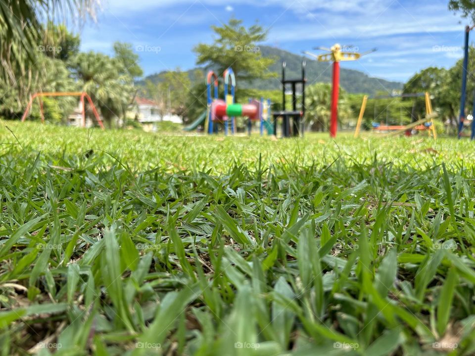 Walk in garden/playground 