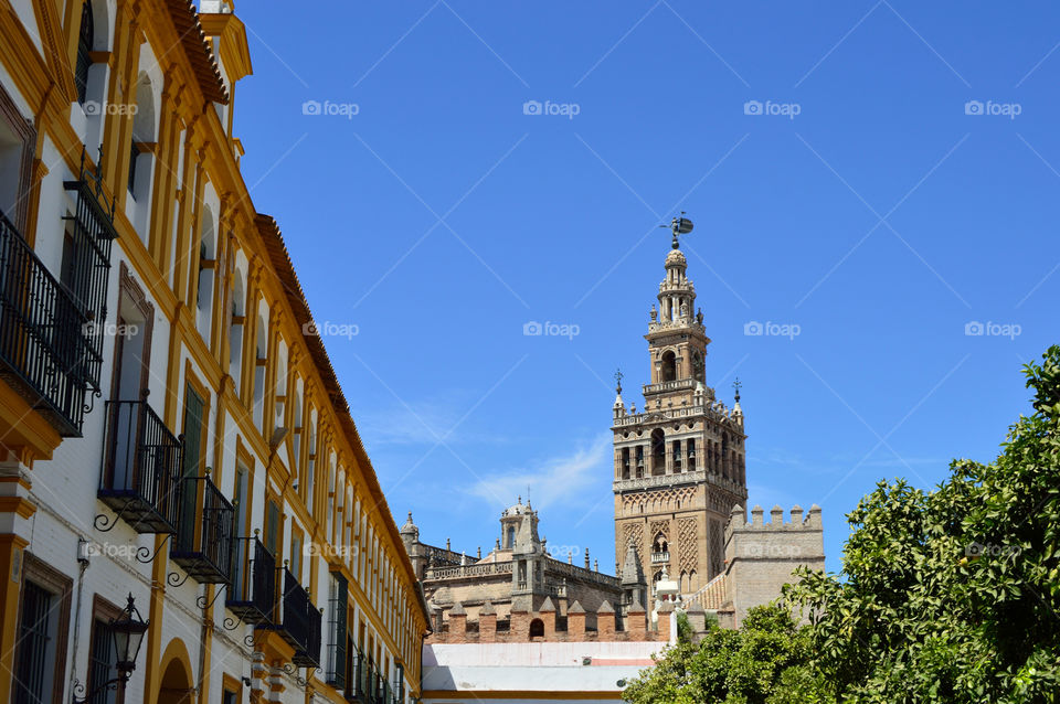 View of La Giralda from Reales Alcáceres, Sevilla, Spain.