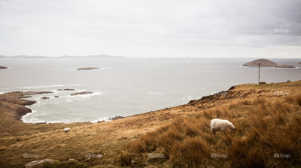 Water, No Person, Seashore, Sea, Beach