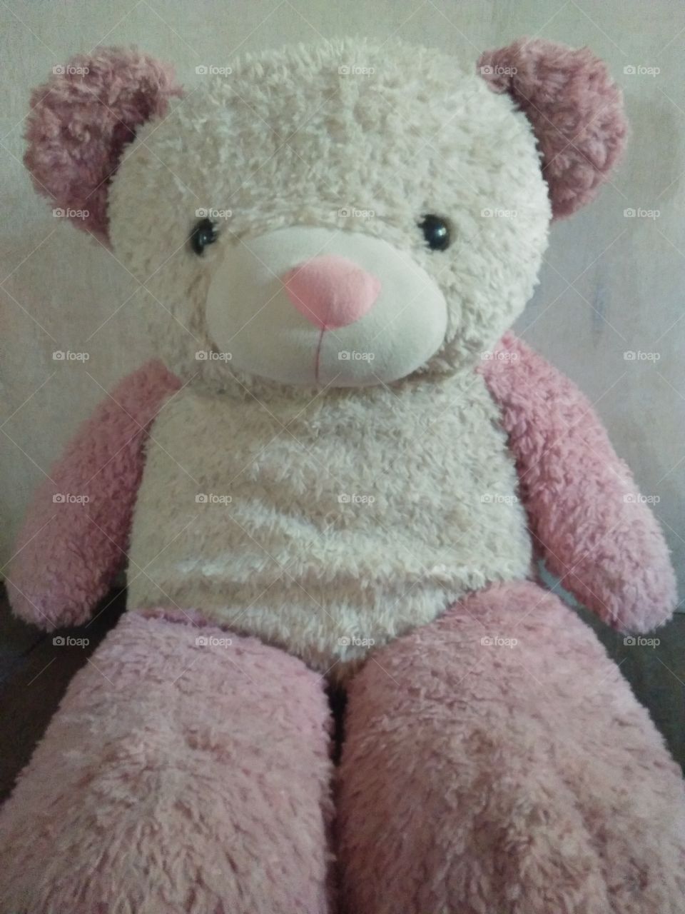This is pink the old teddy of my second daughter Apple .She is a little bit sad and a little filthy.