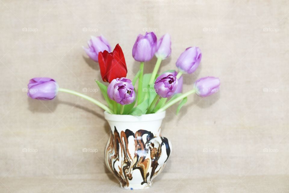 Purple tulips 