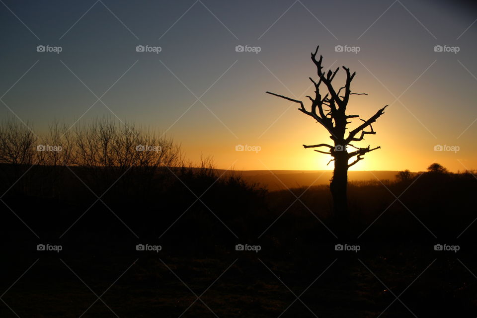 Exmoor sunset