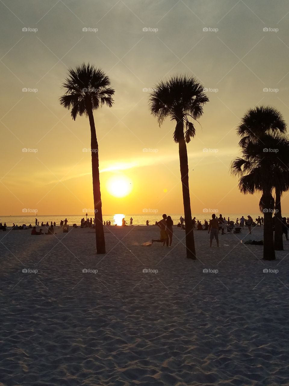 clearwater sunset