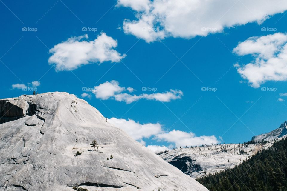 Summer at Yosemite National Park