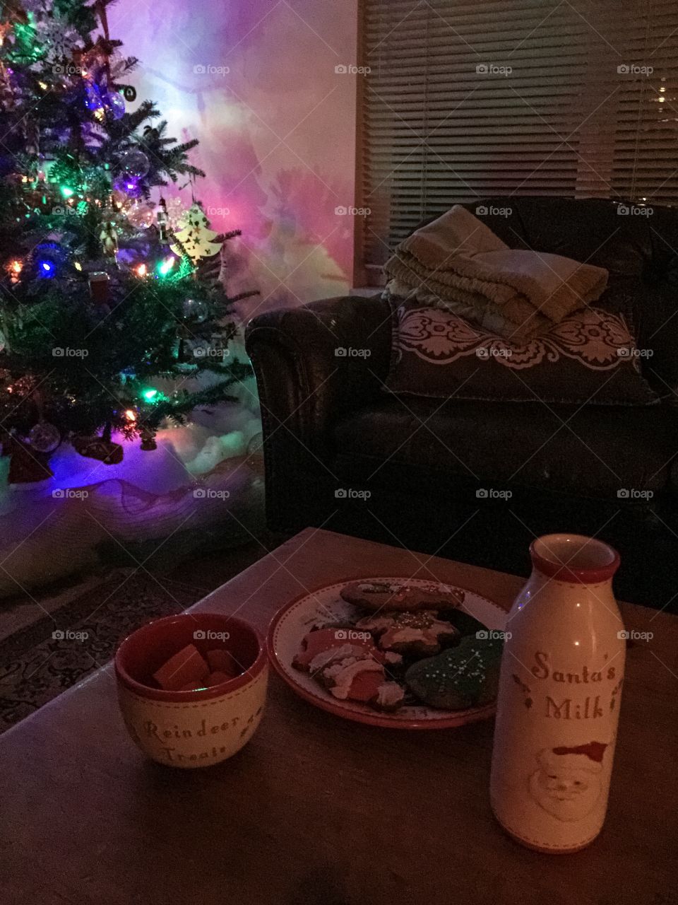 Preparing snacks for Santa and reindeer