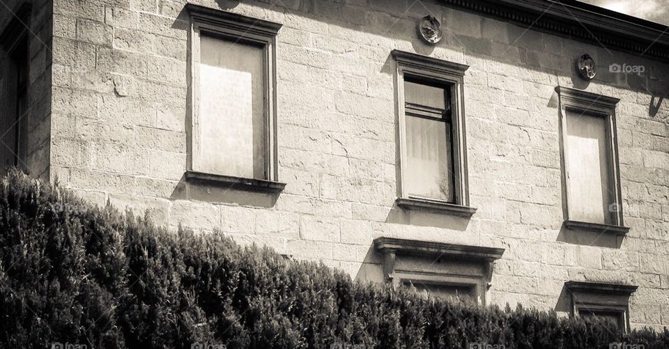 window building architecture 