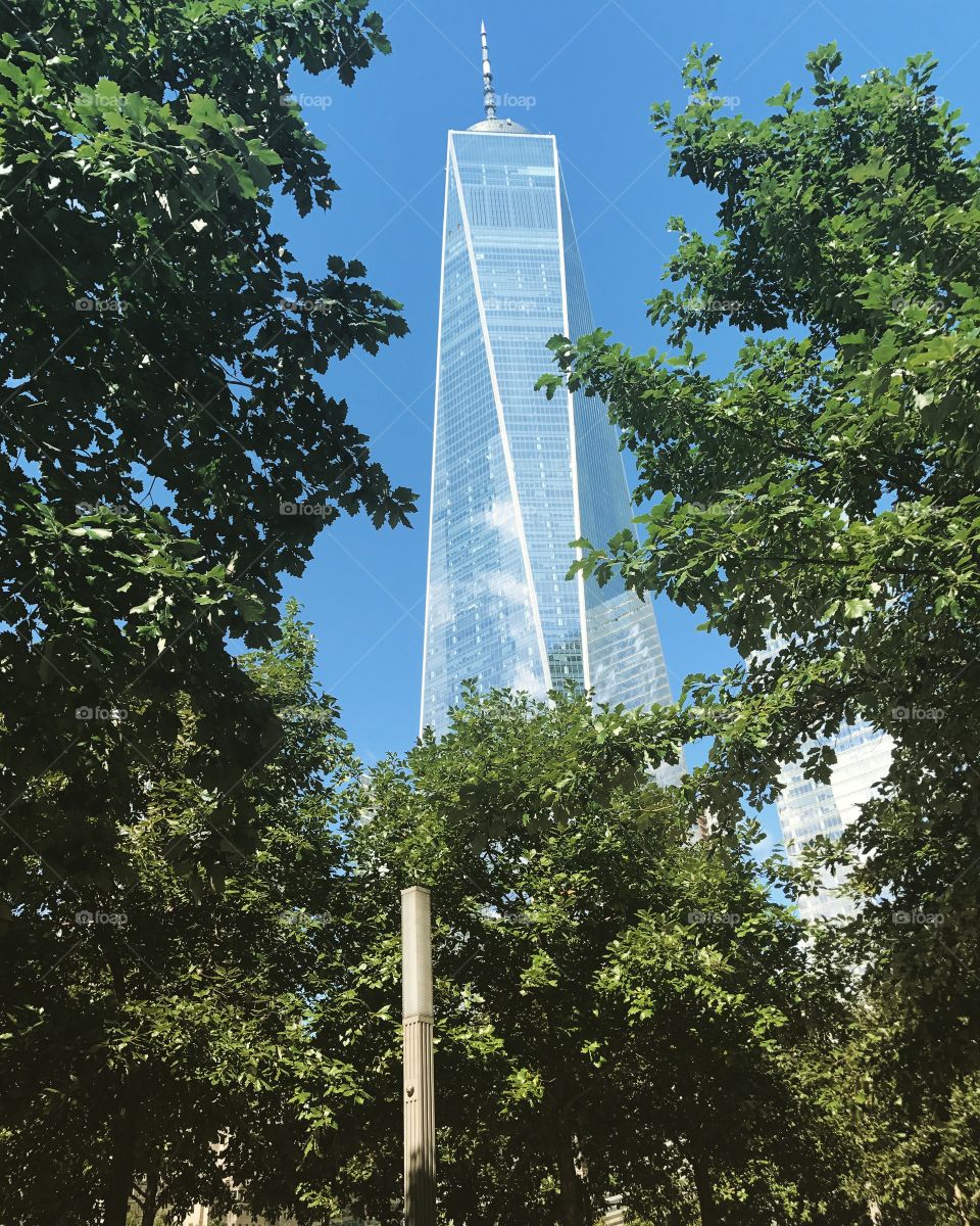 One World Trade Center through the trees