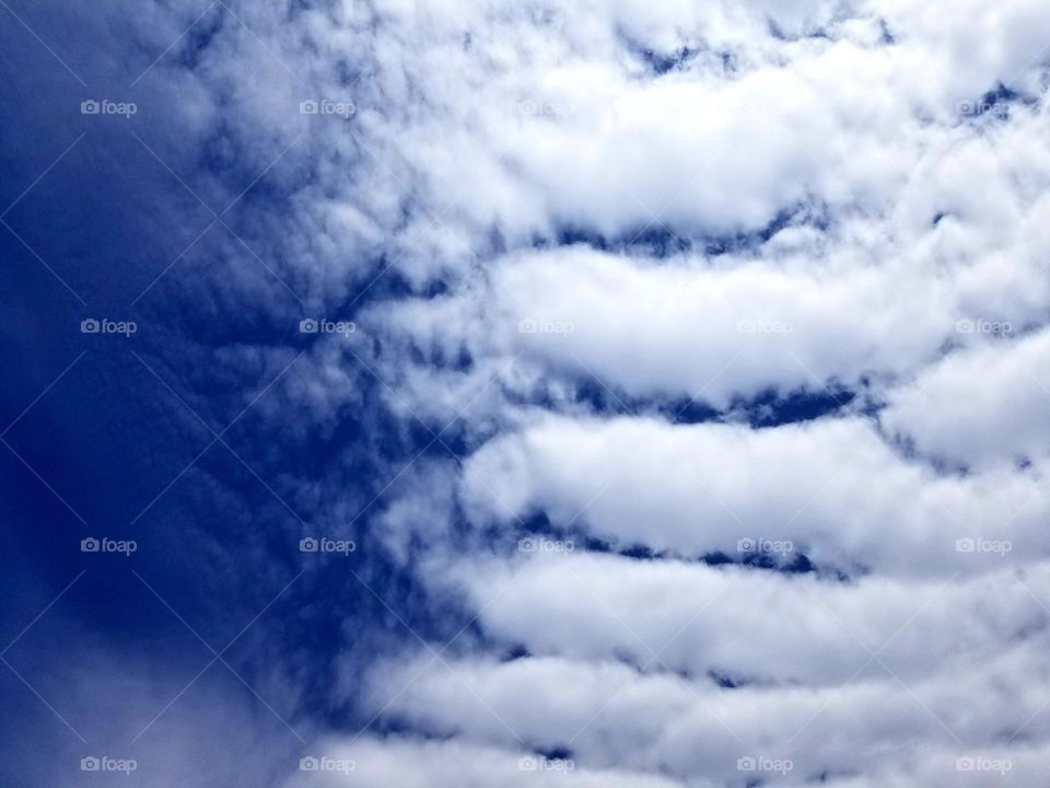 Clouds.

Stark blue sky with linear clouds formation creating white stripes.