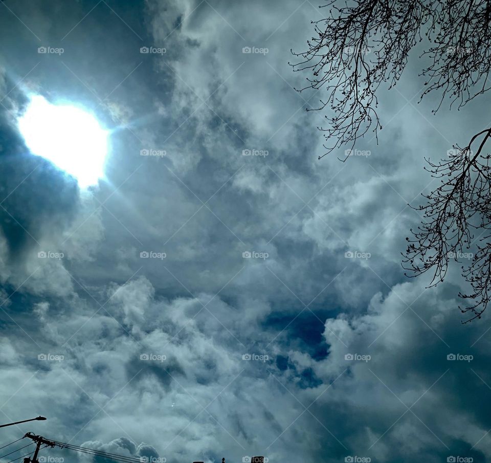 Shine on a cloudy day in Vancouver, Washington.  