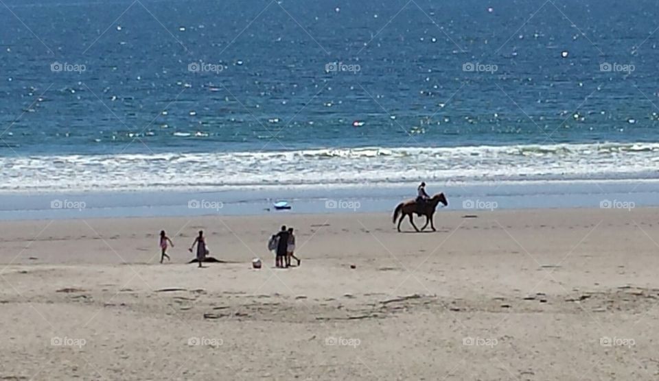 Pismo Beach, CA horse on the beach