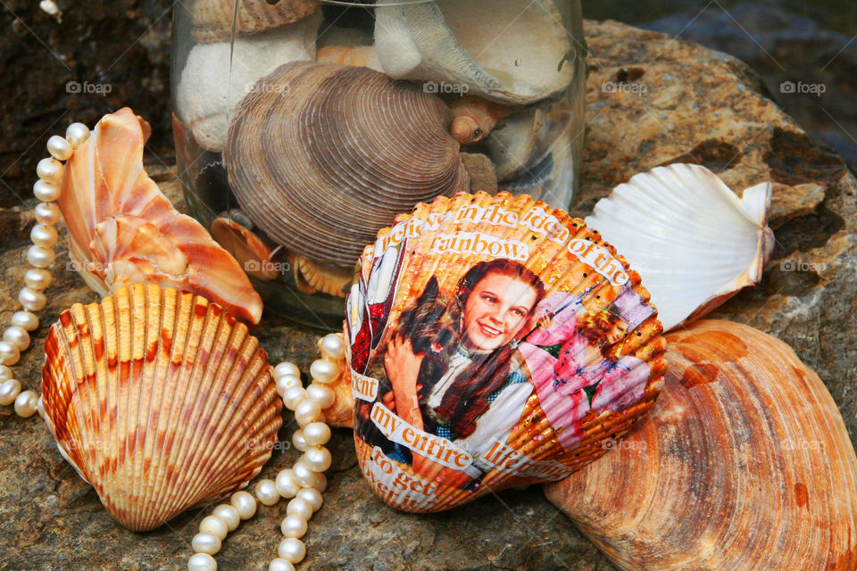 Summer Collection ( Series )